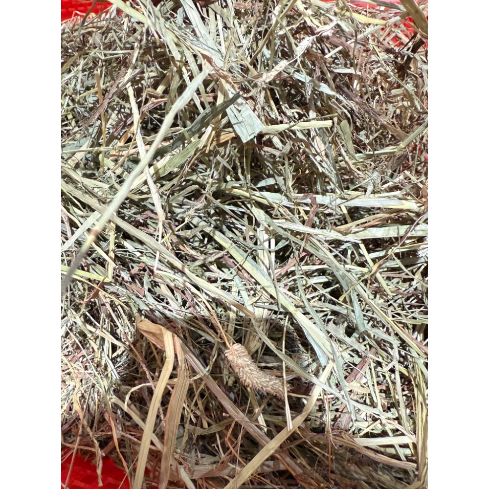 嚴選牧草 提摩西二割/提摩西三割/甜燕麥-規格圖1