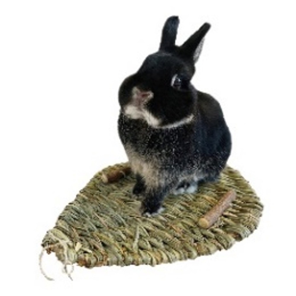 HiPet愛沛 自然家居 草製衝浪板S 衝浪板M-細節圖4