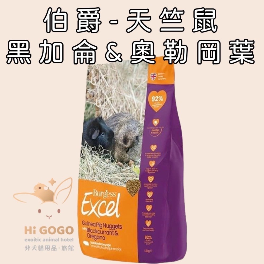 英國伯爵飼料Burgess試吃包-規格圖1