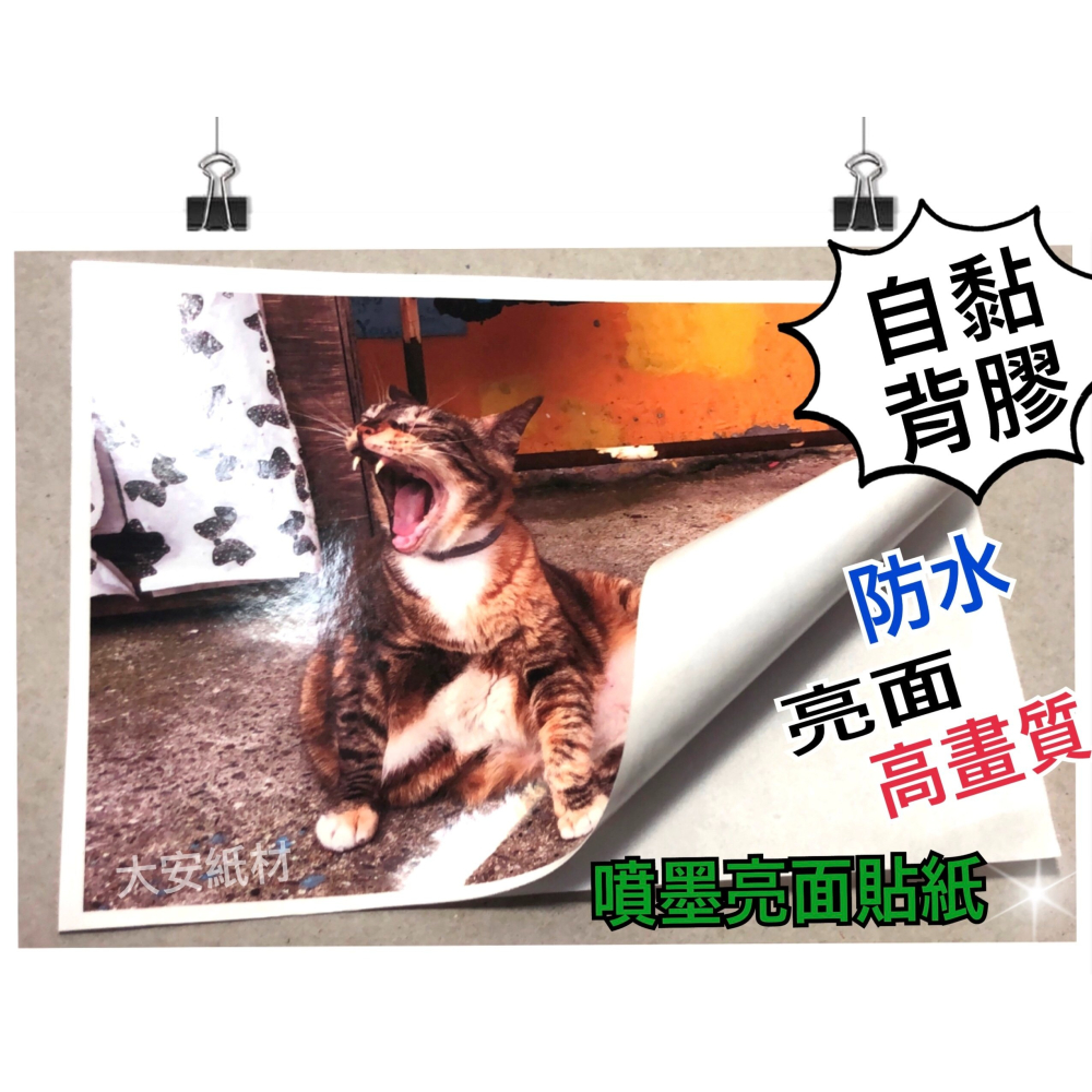 大安紙材《噴墨印表機專用貼紙》小包賣場～白底貼紙/撕不破貼紙/亮面貼紙/相片貼紙/透明貼紙/霧面PP貼PVC貼紙-細節圖3