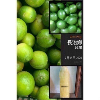 【屏東長治張爺爺】【 混搭6瓶免運】100%鮮榨果汁 無籽檸檬、百香果、甘蔗、柳橙、百香果、葡萄柚-細節圖3