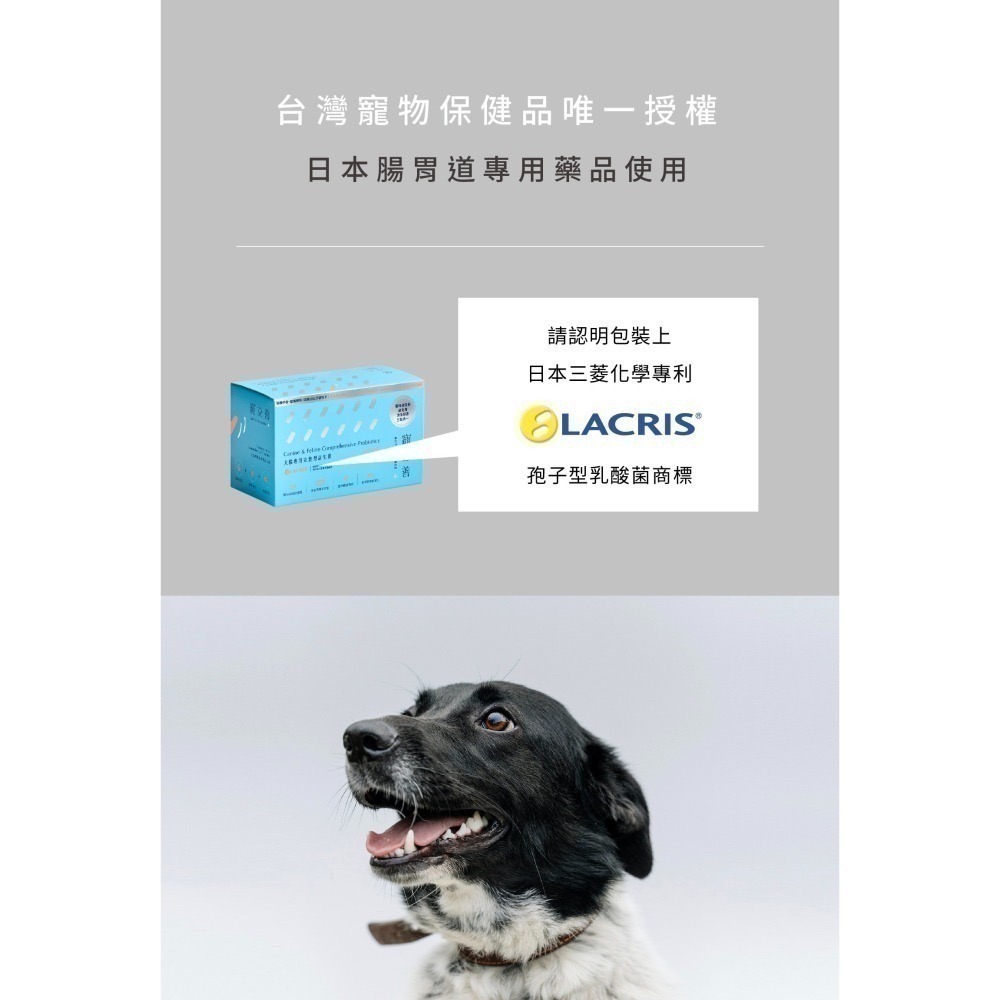 ★★現貨★★【寵立善】寵物天然保健食品/犬貓專用完整型益生菌 3合1複方腸胃保健 消化酵素 寵物益生菌 自然食-細節圖8