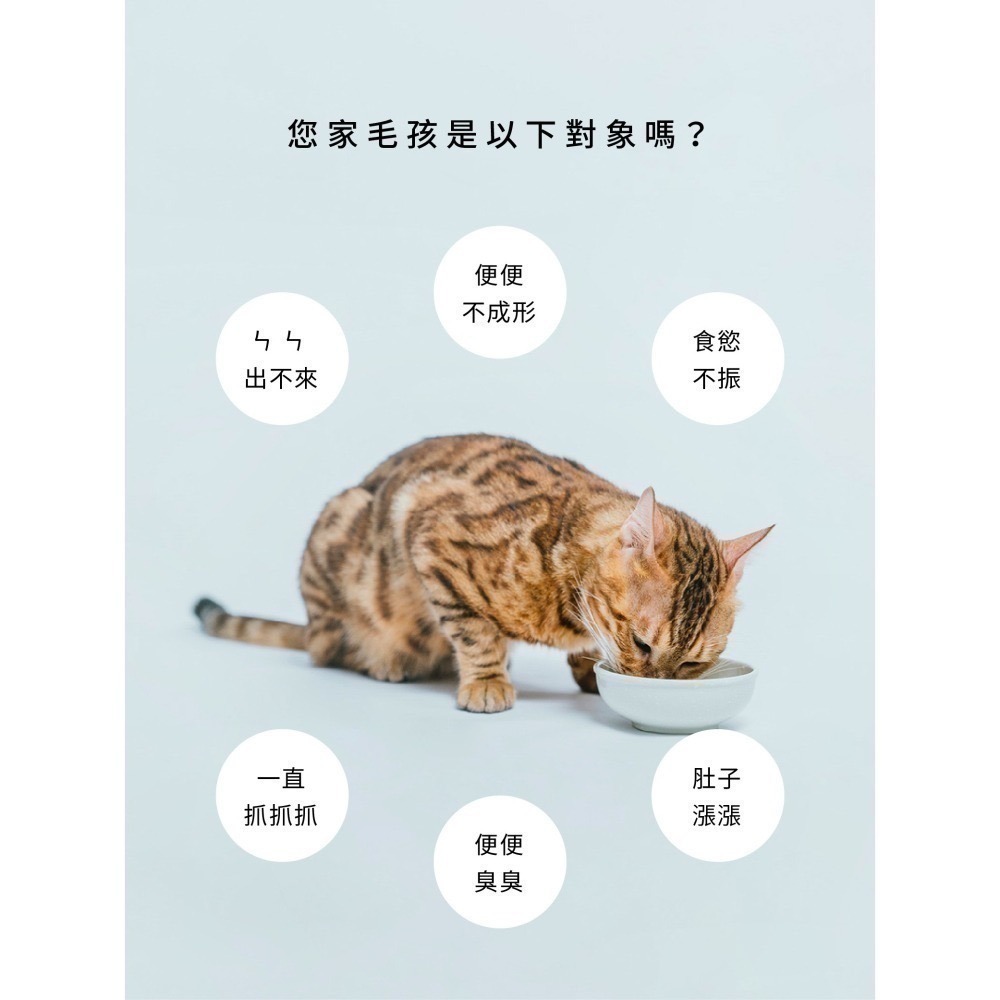 ★★現貨★★【寵立善】寵物天然保健食品/犬貓專用完整型益生菌 3合1複方腸胃保健 消化酵素 寵物益生菌 自然食-細節圖5