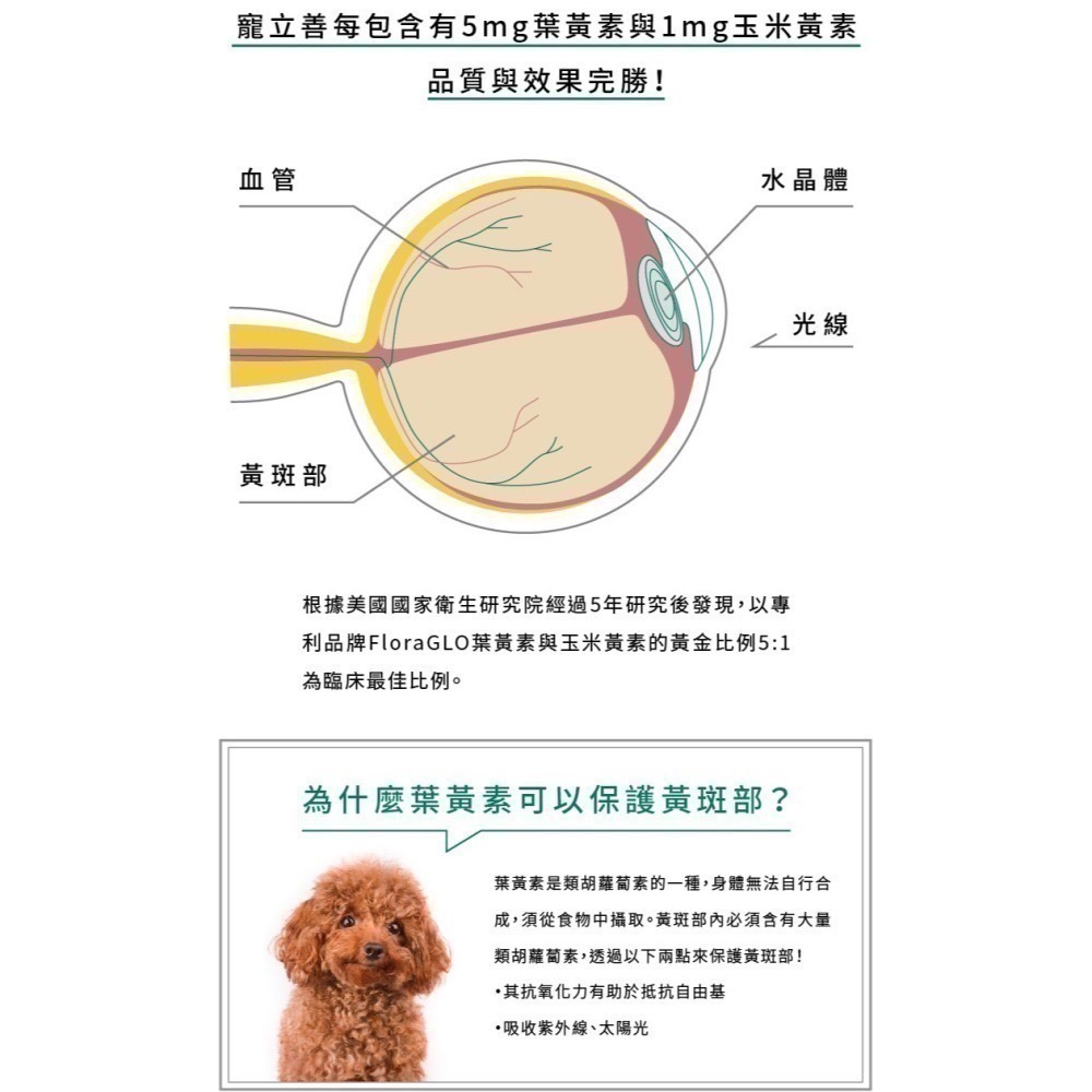 ★★現貨★★【寵立善】寵物天然保健食品/抗氧護眼葉黃素 FloraGLO游離型葉黃素 寵物眼睛保健 自然食-細節圖7