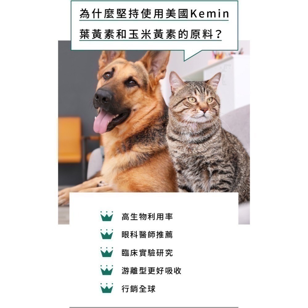 ★★現貨★★【寵立善】寵物天然保健食品/抗氧護眼葉黃素 FloraGLO游離型葉黃素 寵物眼睛保健 自然食-細節圖9