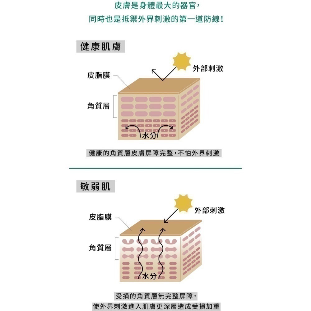 ★★現貨★★【寵立善】寵物天然保健食品/皮膚毛髮保健 敏弱肌必備 日本專利Oricera神經醯胺 自然食-細節圖4