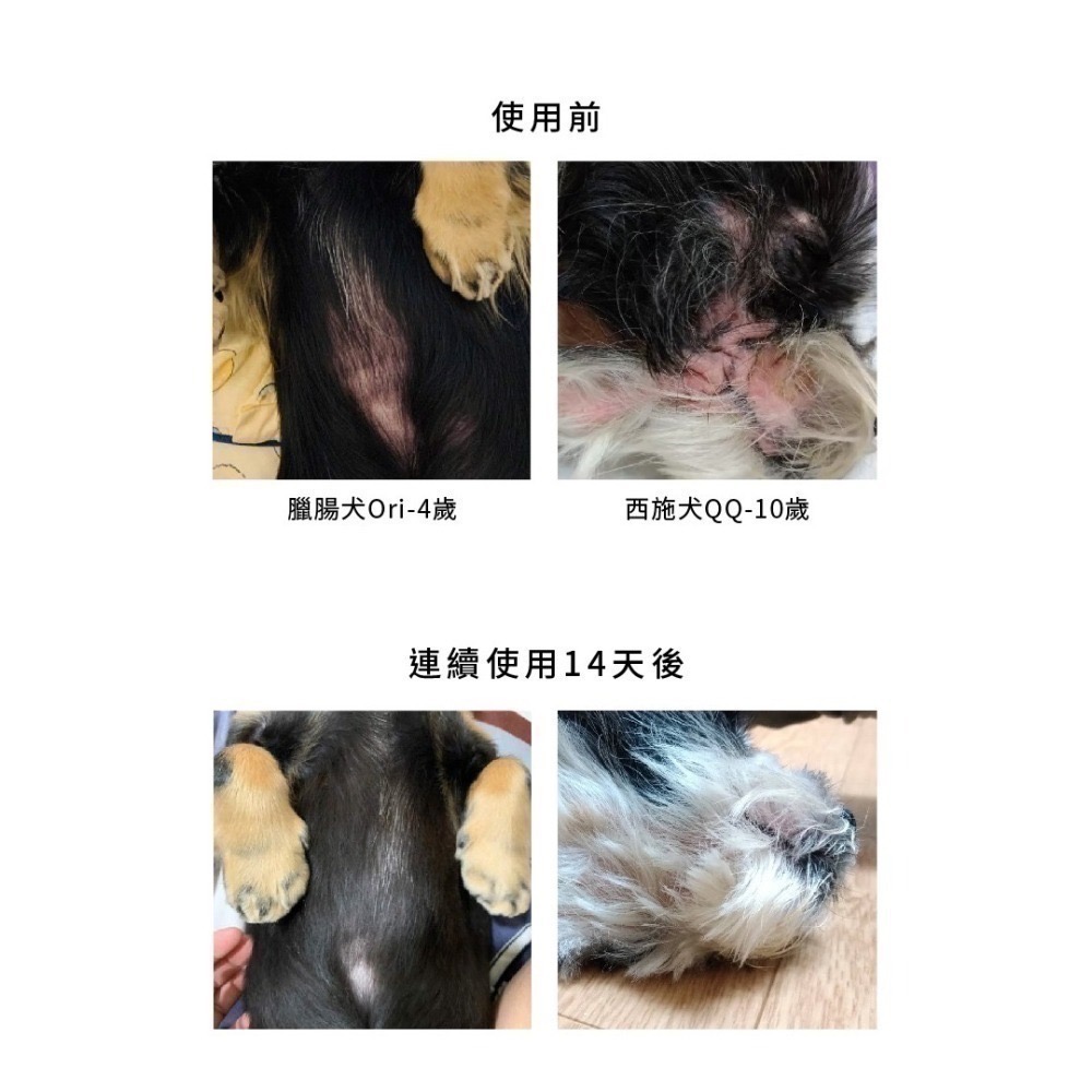 ★★現貨★★【寵立善】寵物天然保健食品/皮膚毛髮保健 敏弱肌必備 日本專利Oricera神經醯胺 自然食-細節圖9