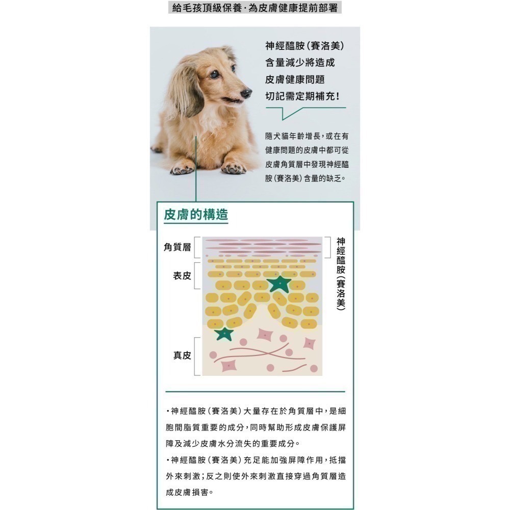 ★★現貨★★【寵立善】寵物天然保健食品/皮膚毛髮保健 敏弱肌必備 日本專利Oricera神經醯胺 自然食-細節圖7