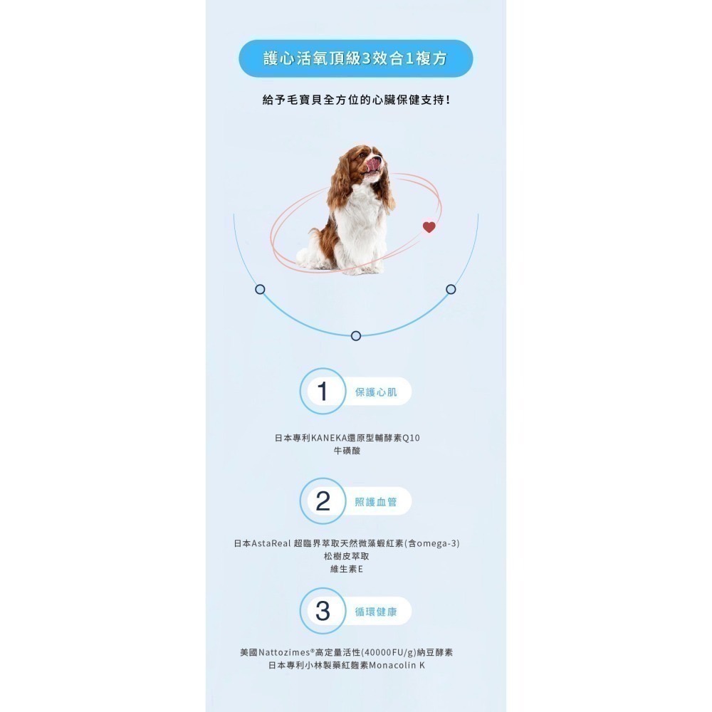 ★現貨免運★【寵立善】寵物天然保健食品/Q10護心活氧複方膠囊 心臟 心血管 牛磺酸 還原型Q10 納豆 蝦紅素 自然食-細節圖4