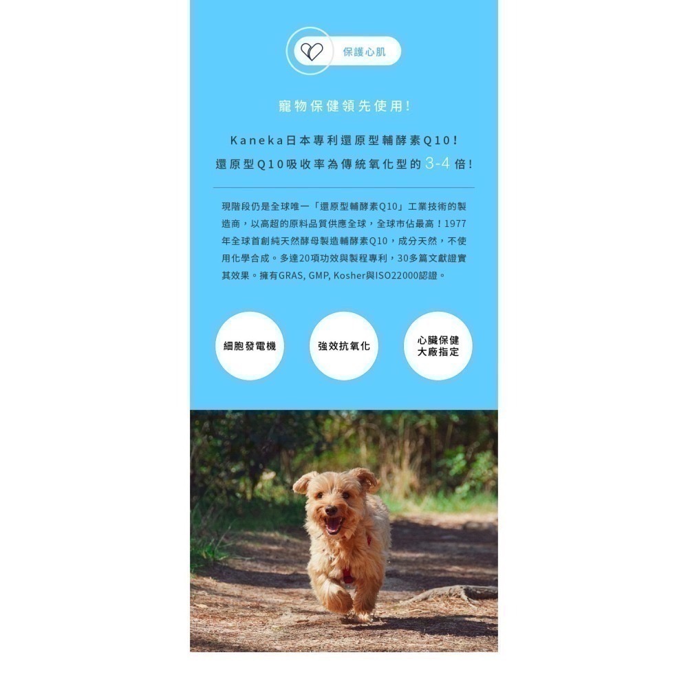 ★現貨免運★【寵立善】寵物天然保健食品/Q10護心活氧複方膠囊 心臟 心血管 牛磺酸 還原型Q10 納豆 蝦紅素 自然食-細節圖6