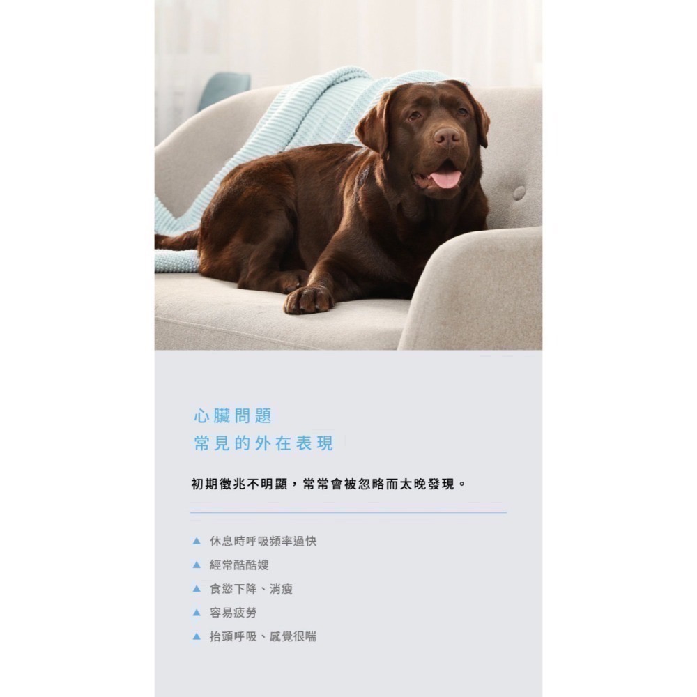 ★現貨免運★【寵立善】寵物天然保健食品/Q10護心活氧複方膠囊 心臟 心血管 牛磺酸 還原型Q10 納豆 蝦紅素 自然食-細節圖11