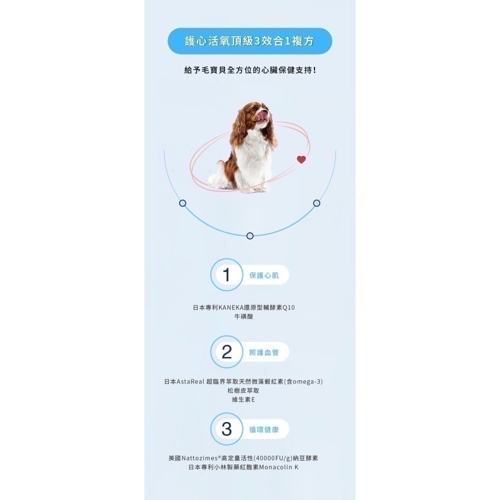 ★現貨免運★【寵立善】寵物天然保健食品/Q10護心活氧複方膠囊 心臟 心血管 牛磺酸 還原型Q10 納豆 蝦紅素 自然食-細節圖4