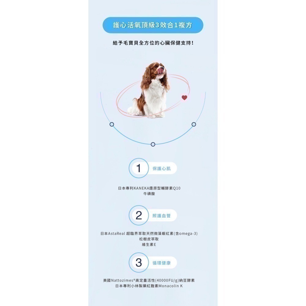 ★現貨免運【寵立善】寵物天然保健食品/Q10護心活氧複方膠囊 心臟 心血管 牛磺酸 還原型Q10 納豆 蝦紅素 自然食-細節圖4