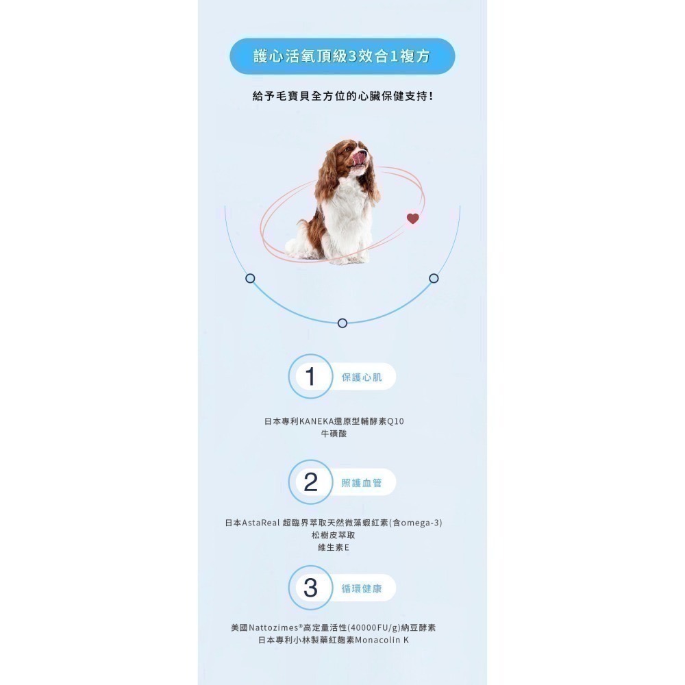 ★現貨免運【寵立善】寵物天然保健食品/Q10護心活氧複方膠囊 心臟 心血管 牛磺酸 還原型Q10 納豆 蝦紅素 自然食-細節圖4