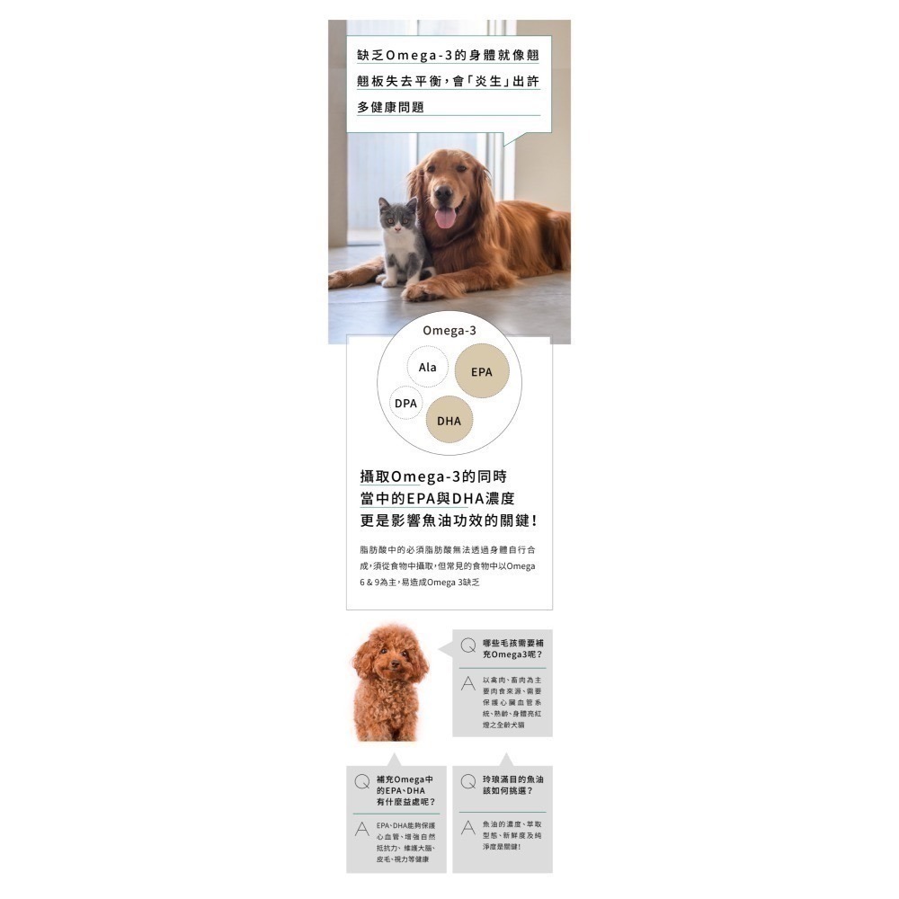 ★★現貨★★【寵立善】寵物天然保健食品/ rTG超高濃度 寵物魚油 OMEGA 3 DHA EPA 自然食 皮膚-細節圖5