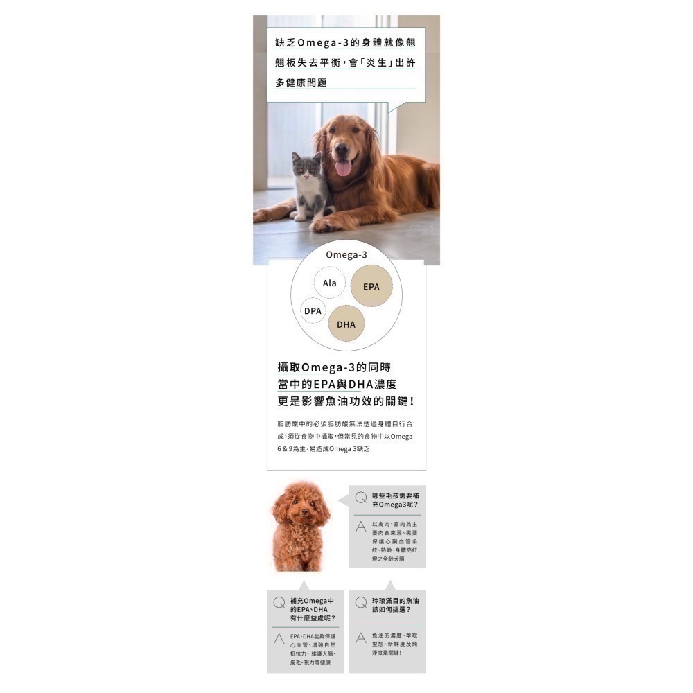 ★★現貨★★【寵立善】寵物天然保健食品/ rTG超高濃度 寵物魚油 OMEGA 3 DHA EPA 自然食 皮膚-細節圖5