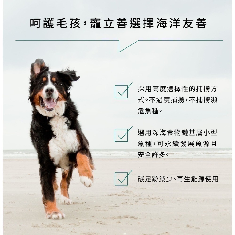 ★★現貨★★【寵立善】寵物天然保健食品/ rTG超高濃度 寵物魚油 OMEGA 3 DHA EPA 自然食 皮膚-細節圖8
