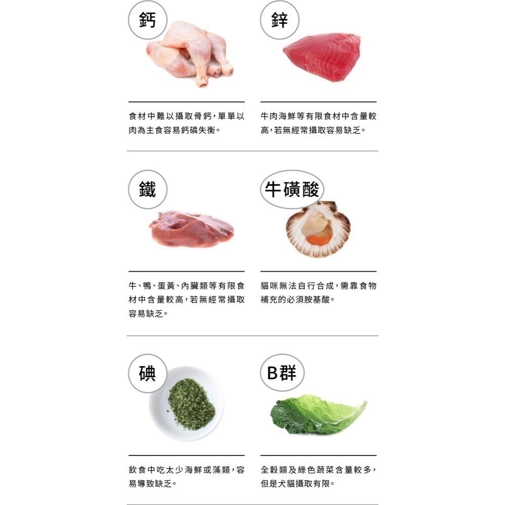 ★★現貨★★【寵立善】寵物天然保健食品/貓用綜合完整型營養粉 生食/鮮食必備 牛磺酸 離胺酸 貓咪營養粉 自然食-細節圖5