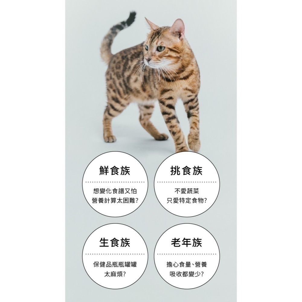 ★★現貨★★【寵立善】寵物天然保健食品/貓用綜合完整型營養粉 生食/鮮食必備 牛磺酸 離胺酸 貓咪營養粉 自然食-細節圖3