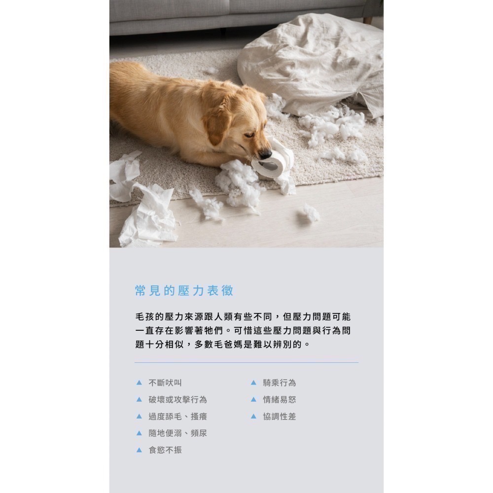 ★★現貨★★【寵立善】犬貓紓壓情緒保健胜肽 2+1高效紓壓複方 雙效GABA SAMe-X 寵物焦慮舒壓放鬆 自然食-細節圖3