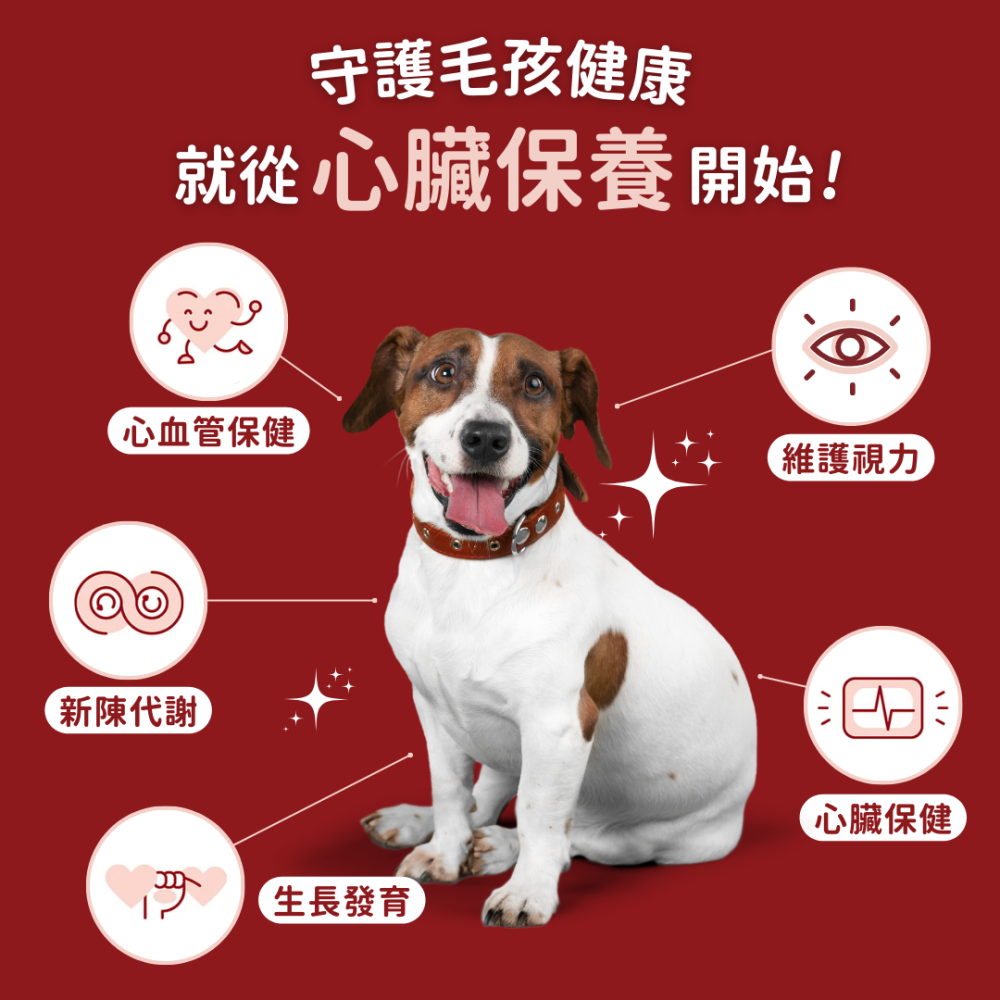 ★現貨免運【飛樂沛】美國 Fera Pets 心臟保健 CoQ10+牛磺酸寵心配方 心血管 眼睛視力 犬貓用-細節圖2