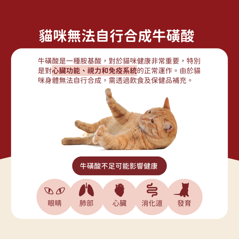 ★現貨免運【飛樂沛】美國 Fera Pets 心臟保健 CoQ10+牛磺酸寵心配方 心血管 眼睛視力 犬貓用-細節圖4
