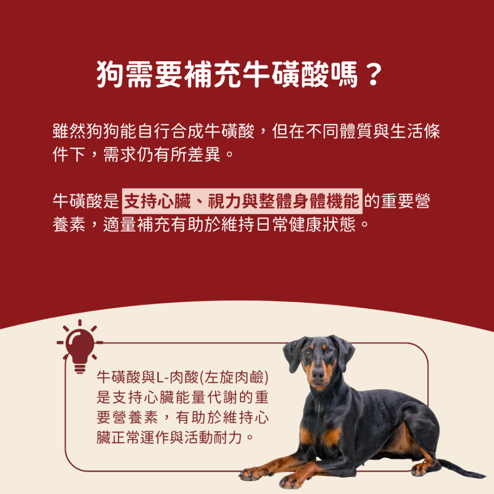 ★現貨免運【飛樂沛】美國 Fera Pets 心臟保健 CoQ10+牛磺酸寵心配方 心血管 眼睛視力 犬貓用-細節圖5