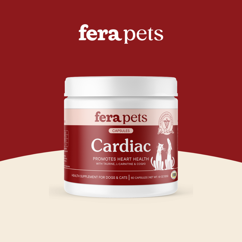 ★現貨免運【飛樂沛】美國 Fera Pets 心臟保健 CoQ10+牛磺酸寵心配方 心血管 眼睛視力 犬貓用-規格圖11
