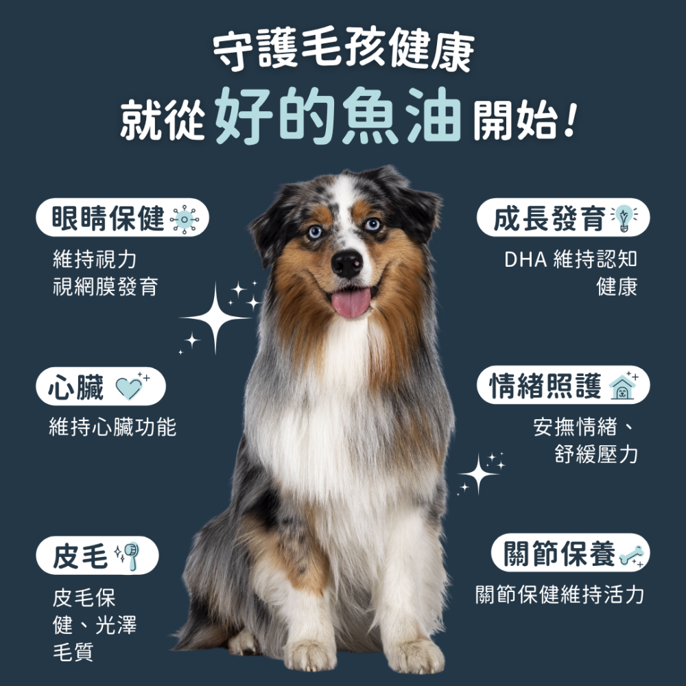 ★現貨免運【飛樂沛】美國 Fera Pets 冰島深海rTG小魚油+維他命E Omega-3 EPA DHA 犬貓用-細節圖2