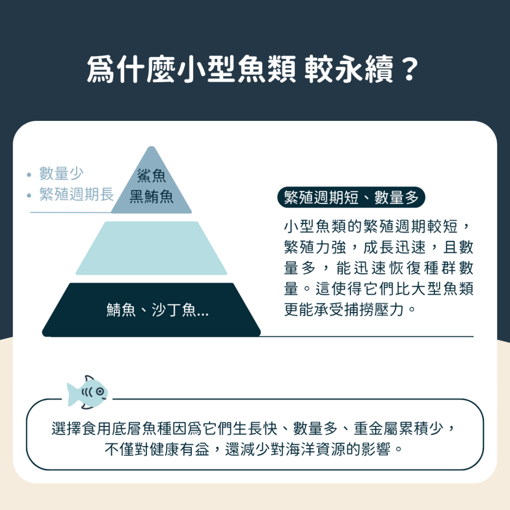 ★現貨免運【飛樂沛】美國 Fera Pets 冰島深海rTG小魚油+維他命E Omega-3 EPA DHA 犬貓用-細節圖7