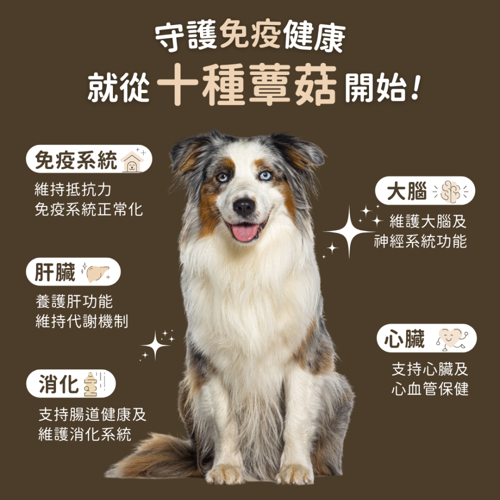 ★現貨免運【飛樂沛】美國 Fera Pets USDA Organic 有機十全蕈菇 菇菇粉 營養補充 犬貓用-細節圖2