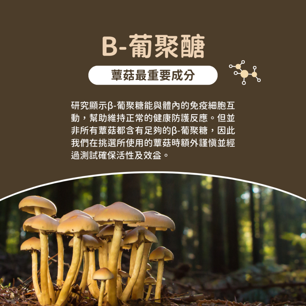 ★現貨免運【飛樂沛】美國 Fera Pets USDA Organic 有機十全蕈菇 菇菇粉 營養補充 犬貓用-細節圖4