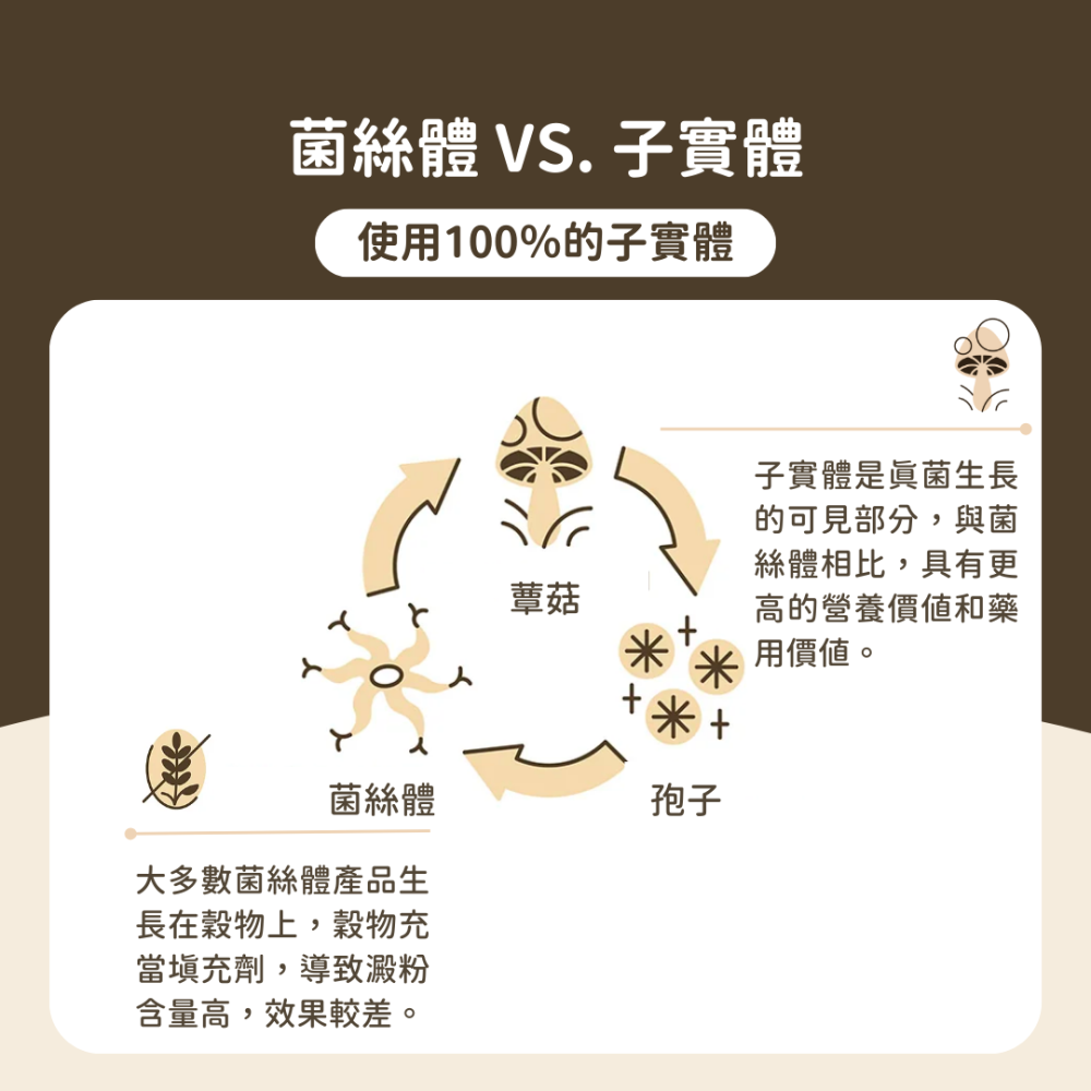 ★現貨免運【飛樂沛】美國 Fera Pets USDA Organic 有機十全蕈菇 菇菇粉 營養補充 犬貓用-細節圖5