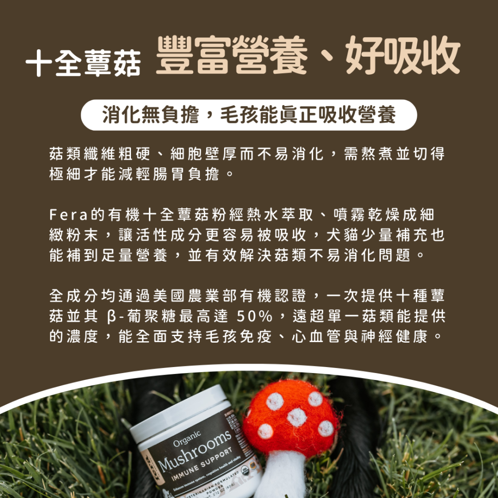 ★現貨免運【飛樂沛】美國 Fera Pets USDA Organic 有機十全蕈菇 菇菇粉 營養補充 犬貓用-細節圖6