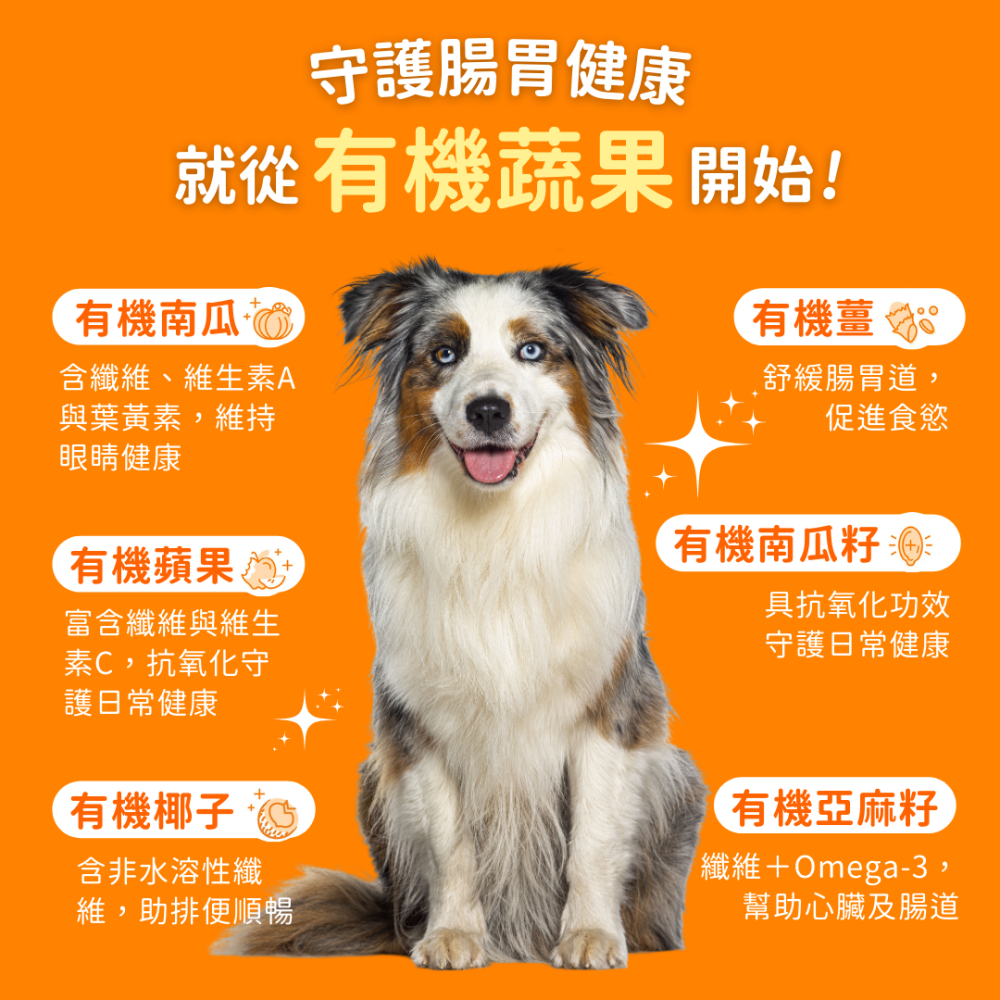 ★現貨免運【飛樂沛】美國 Fera Pets USDA Organic 有機6種蔬果南瓜纖維素 腸道消化保健 犬貓用-細節圖2