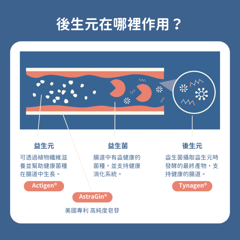 ★現貨免運【飛樂沛】美國 Fera Pets 腸胃道保健後生元+ 臨床研究支持專利 消化保健 犬貓用-細節圖8