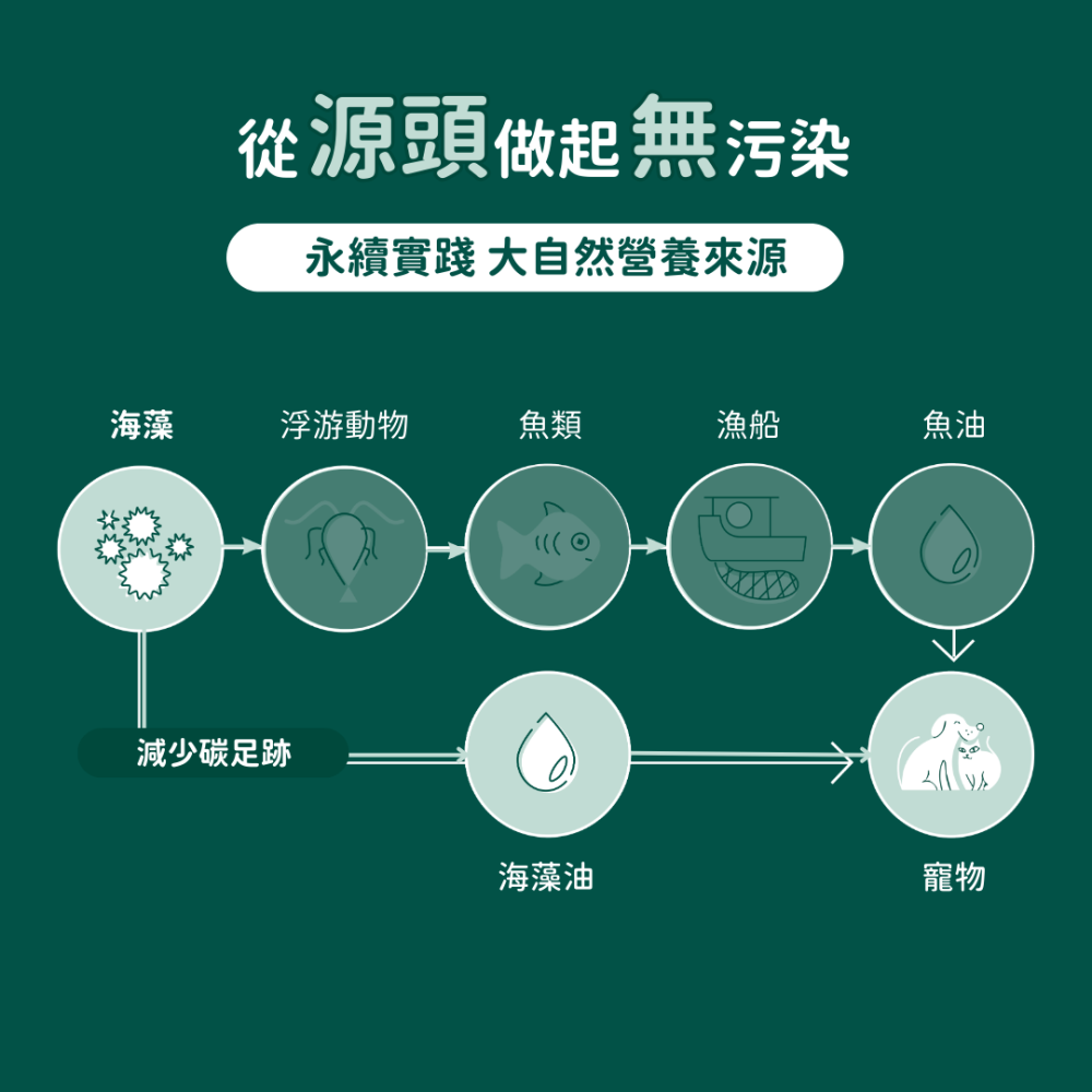 ★現貨免運【飛樂沛】美國 Fera Pets 純素海藻油 Vegan Omega-3 6 9s EPA DHA 犬貓用-細節圖5