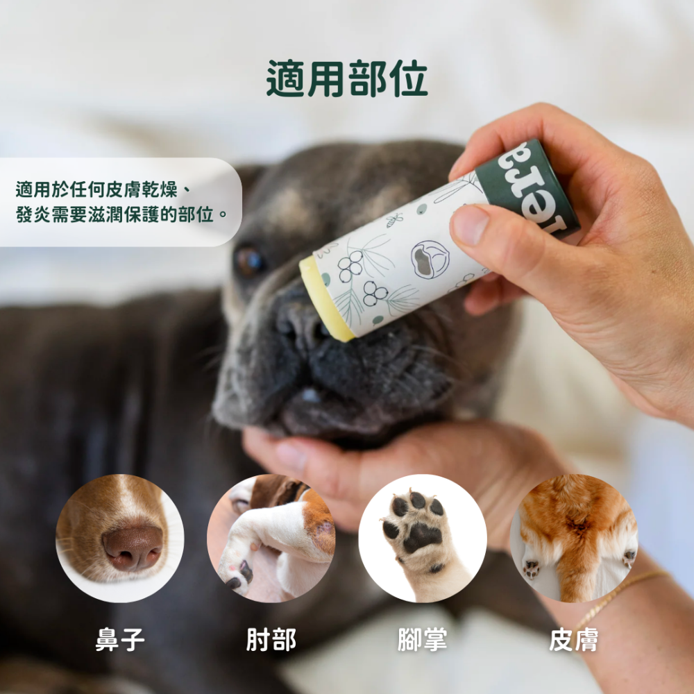 ★現貨【飛樂沛】美國 Fera Pets PawBiome™ 益生好棒舒緩皮毛膏 癢癢掰掰 紅腫掰掰 犬貓-細節圖6