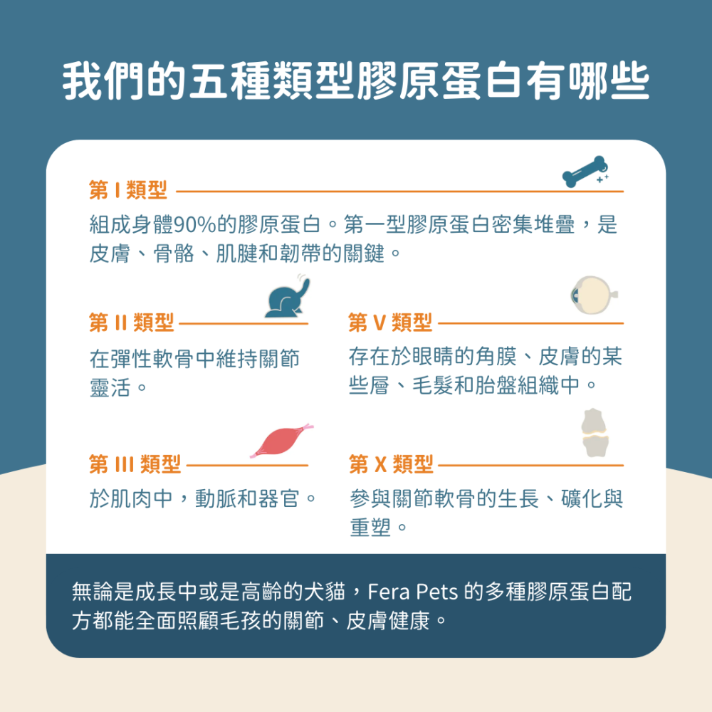 ★現貨免運【飛樂沛】美國 Fera Pets UC-Ⅱ® 5種膠原蛋白保健+ 關節保養 非變性二型膠原蛋白 犬貓用-細節圖4