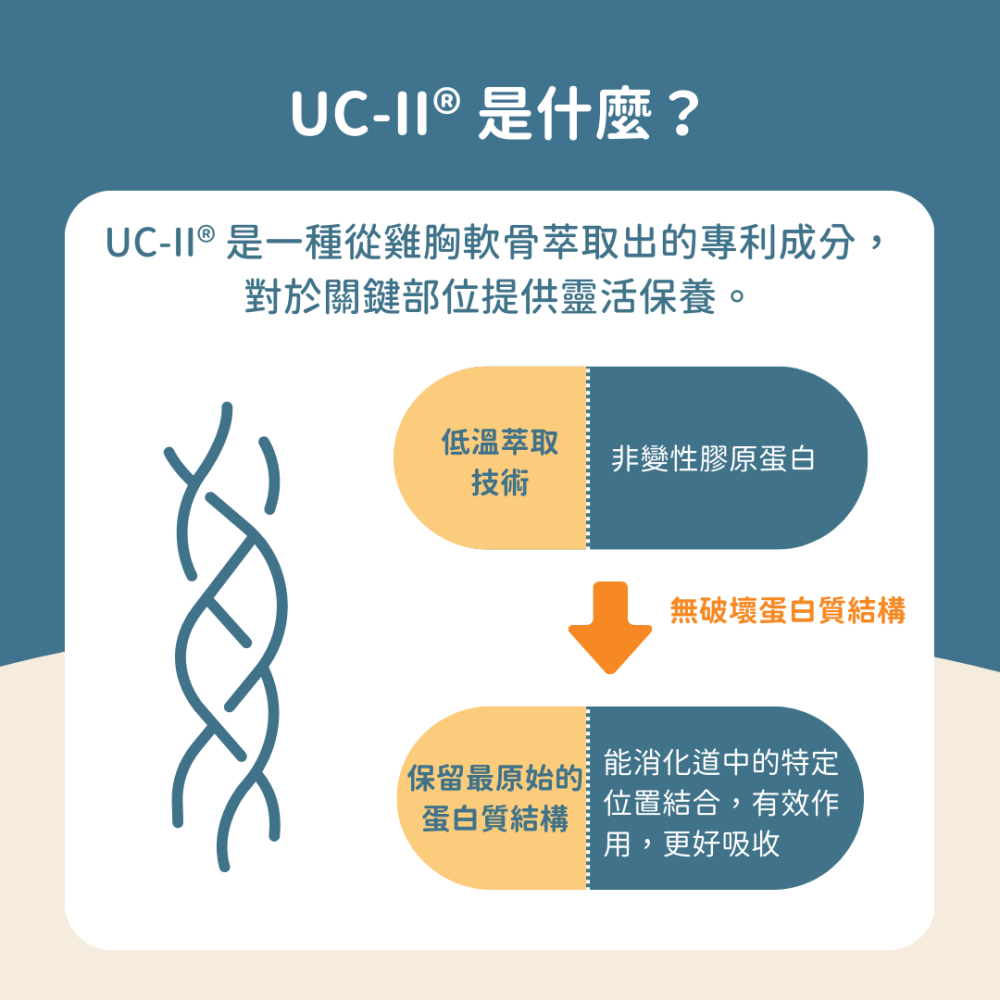 ★現貨免運【飛樂沛】美國 Fera Pets UC-Ⅱ® 5種膠原蛋白保健+ 關節保養 非變性二型膠原蛋白 犬貓用-細節圖7