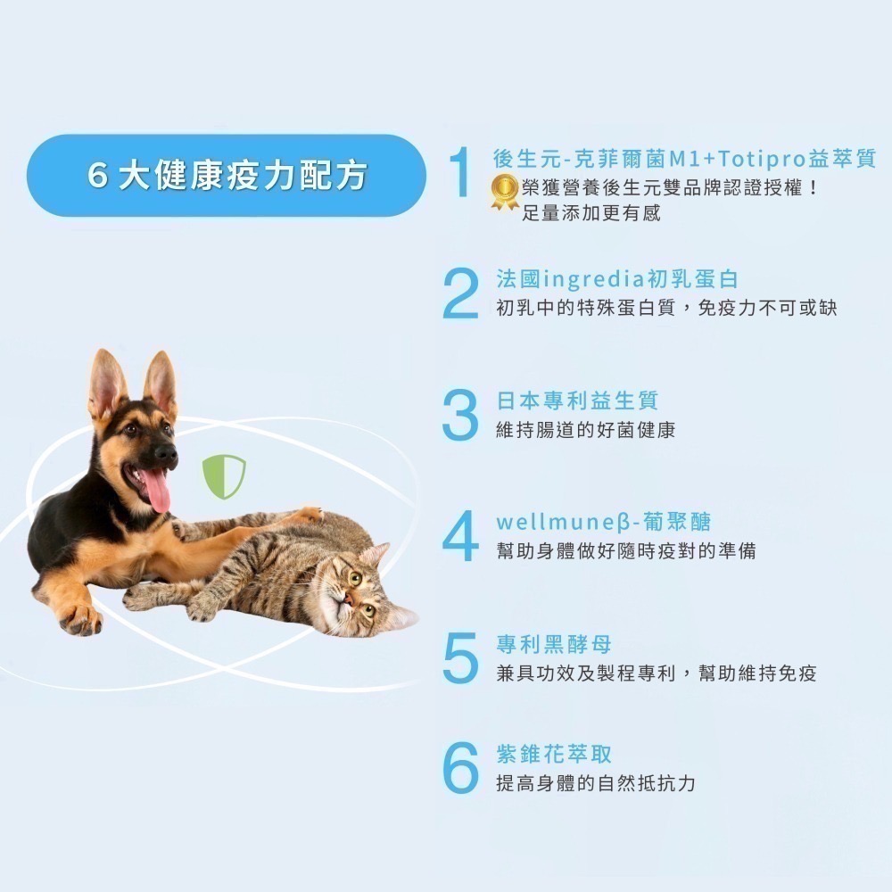 ★免運【寵立善】寵物天然保健食品/犬貓免疫機能保健粉 β-葡聚糖 黑酵母 後生元 犬貓免疫力強化 貓感冒 自然食-細節圖4