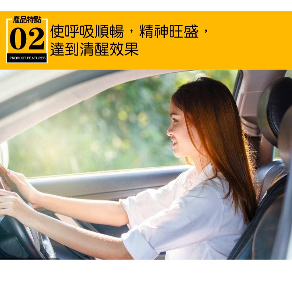 路易視 汽車室內負離子芬多精空氣淨化器-細節圖6