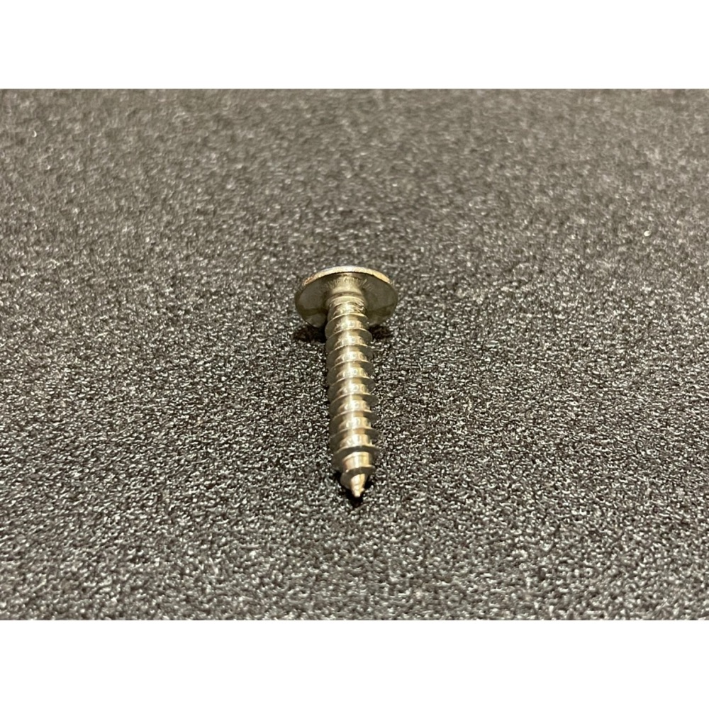 【鹿藝仕】上板用304不鏽鋼螺絲 （15顆/30顆/包）鹿角蕨  蘭花 白鐵螺絲 固定螺絲-細節圖2