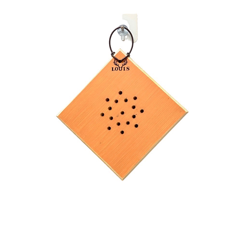 《鹿藝仕》方型蜂蠟木植板 側芽 侏儒類鹿角蕨上板 文青小品上板板材  圓邊處理+透氣孔-細節圖4