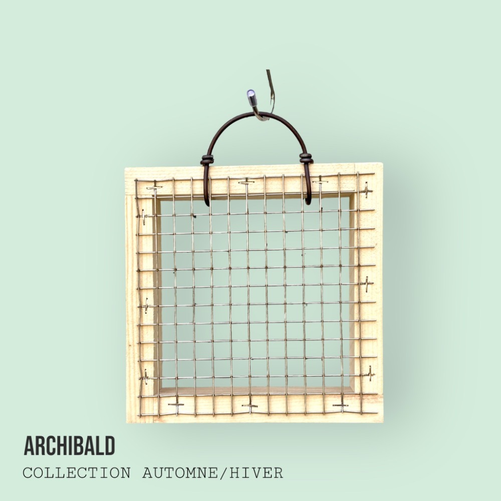 《鹿藝仕》原木白鐵框 鹿角蕨 側芽神器 空鳳架-細節圖2