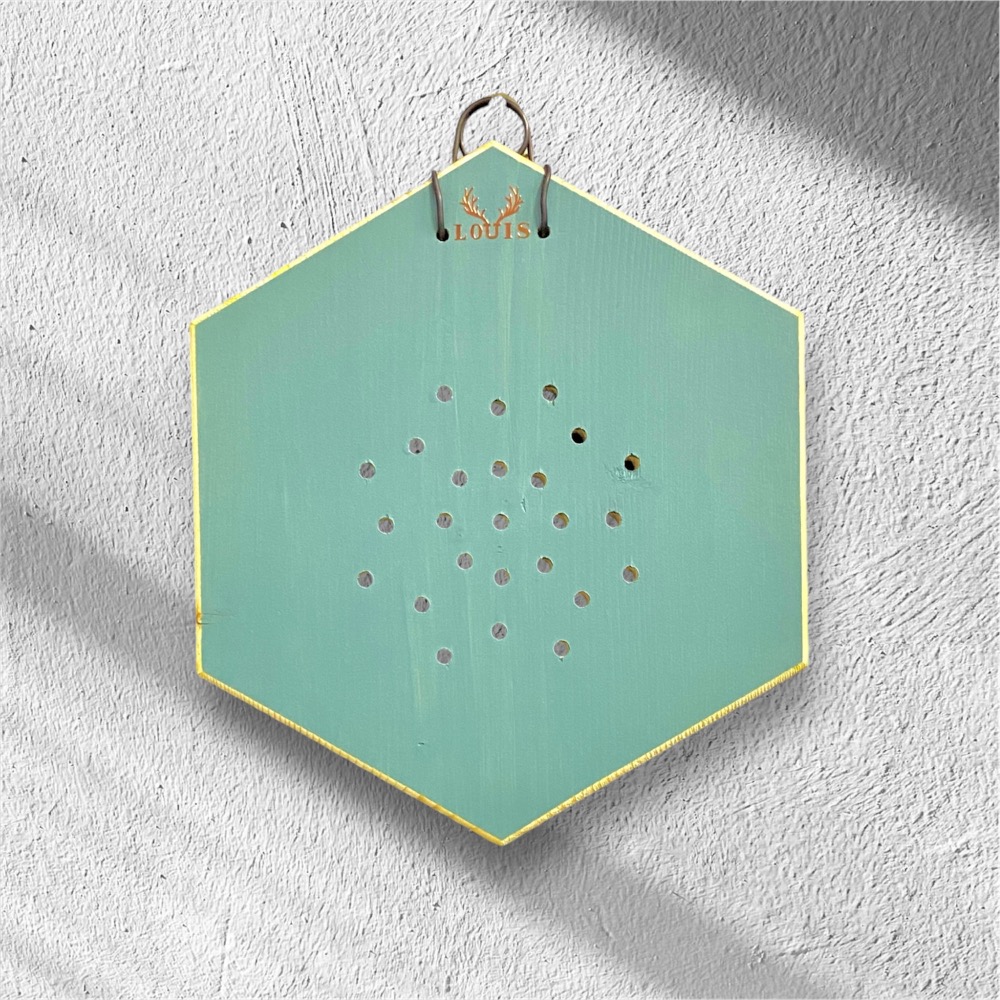 【鹿藝仕】大六角蜂蠟木植板 雙面著色 鹿角蕨 天然蜂蠟 上板 木植板 植栽板 原木板 圓邊處理 透氣孔-細節圖4