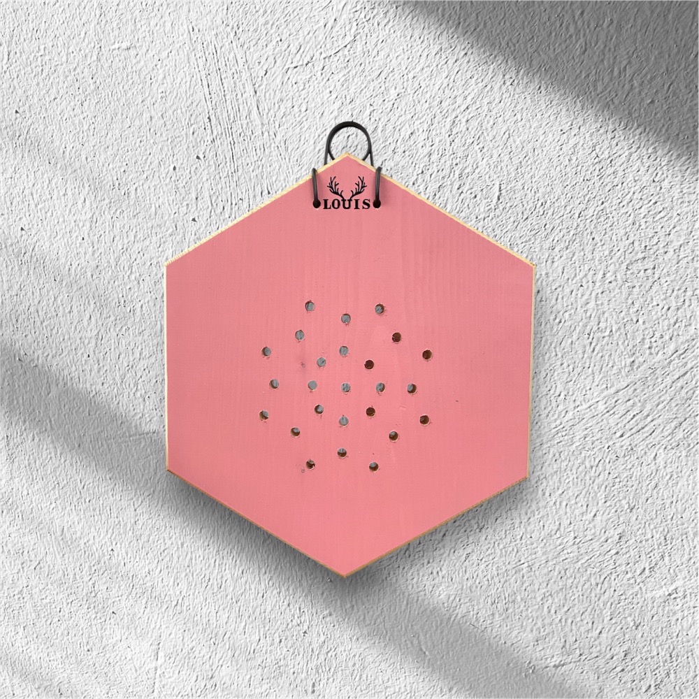 【鹿藝仕】中六角蜂蠟木植板 雙面著色 鹿角蕨 天然蜂蠟 上板 木植板 植栽板 原木板 圓邊處理 透氣孔-規格圖7