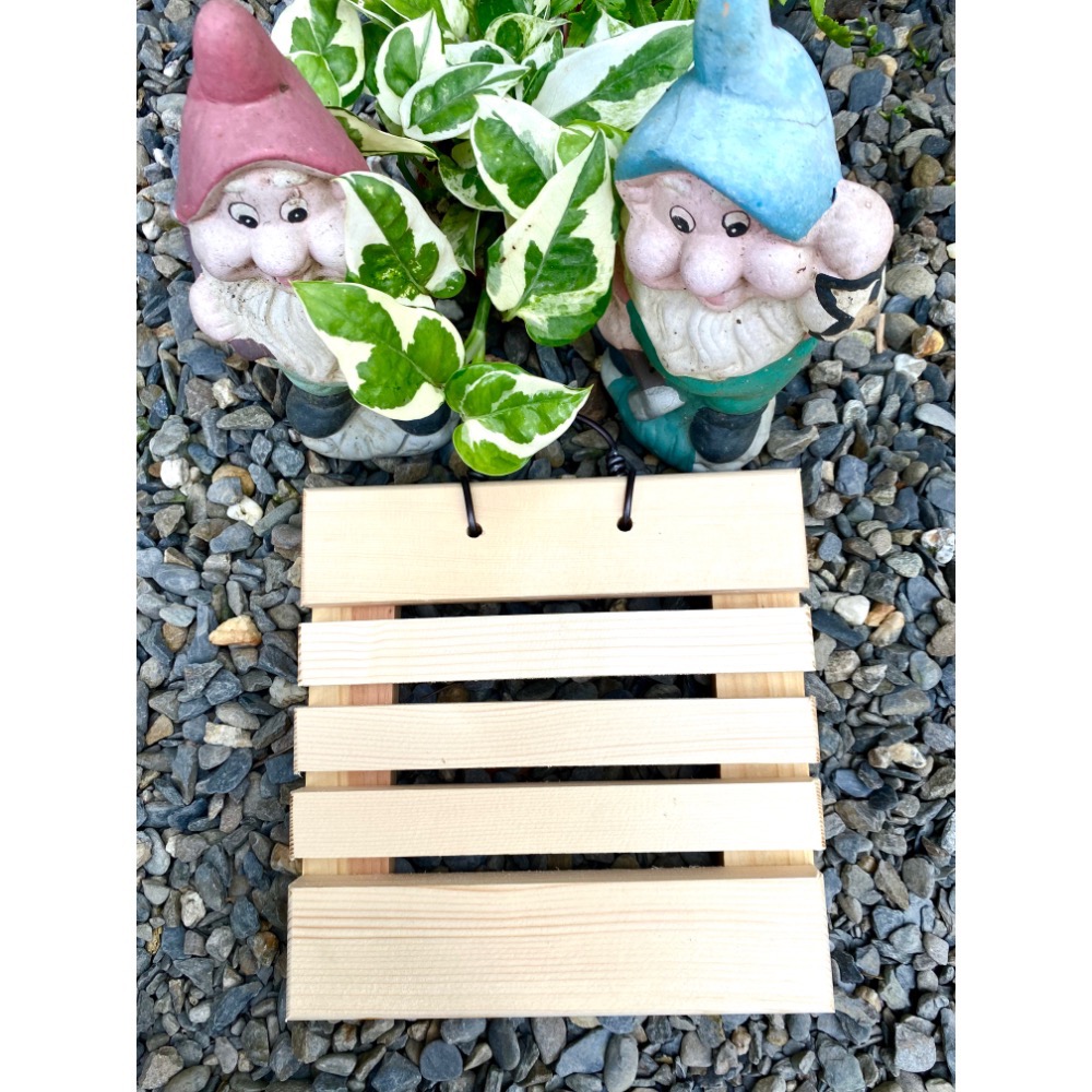 《鹿藝仕》原木板材 棧板型上板板材 鹿角蕨素材 亞猴 蘭花上板板材-細節圖4
