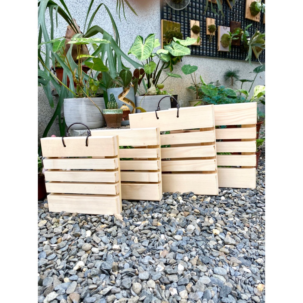 《鹿藝仕》原木板材 棧板型上板板材 鹿角蕨素材 亞猴 蘭花上板板材-細節圖6