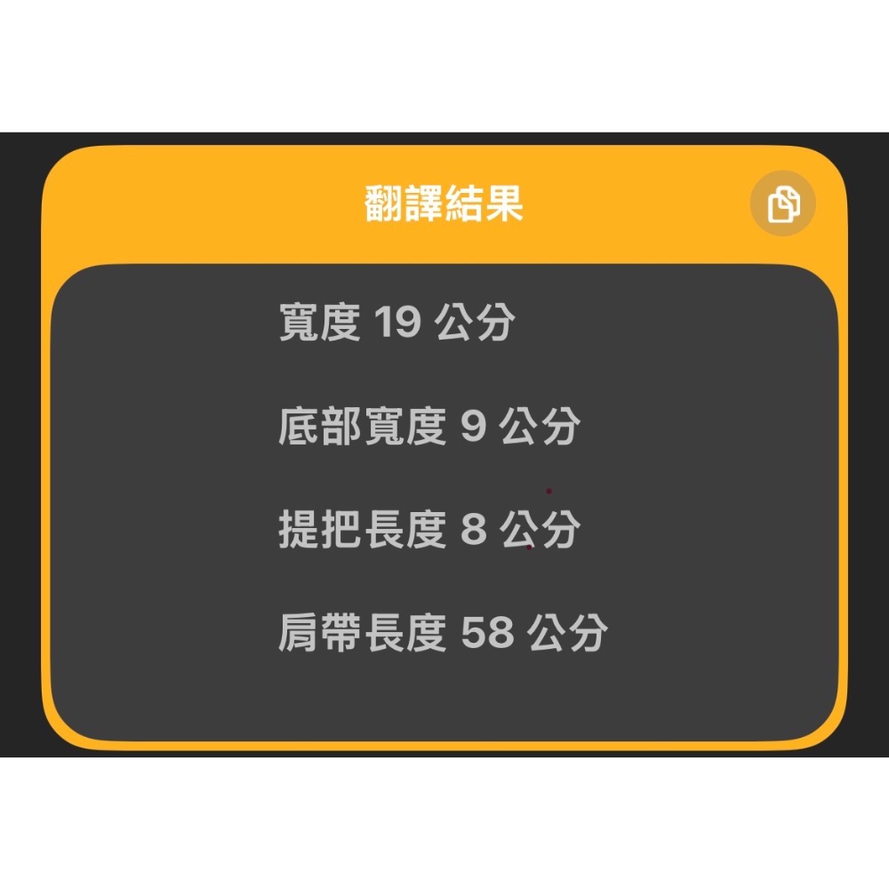 ALDO手提小方包/斜背包/晚宴包-細節圖10